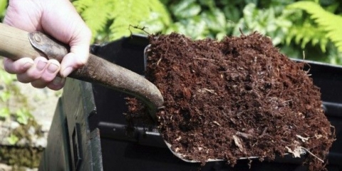 Šta je kompost i kako ga sami napraviti